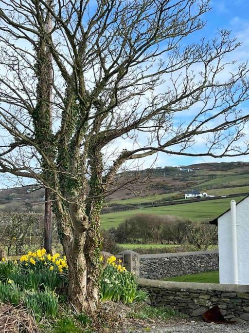 Gors Eilian Vila Amlwch Exterior foto